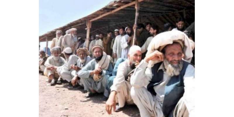 جنوبی وزیرستان ایجنسی کے عارضی بے گھر افراد میں معاوضوں کے چیکوں کی ..