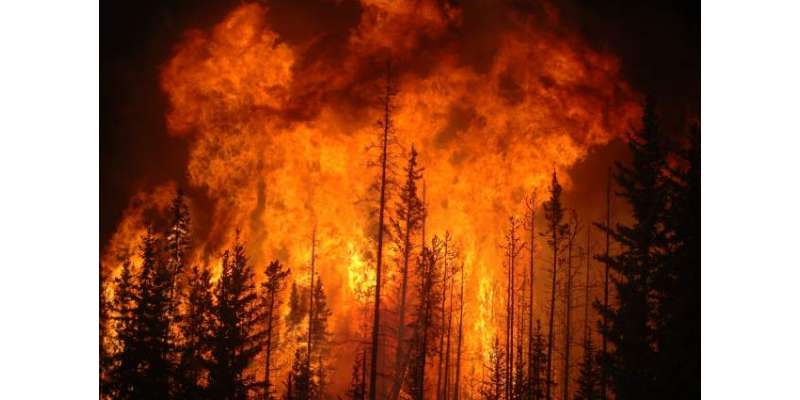 امریکی جنگلات میں آتشزدگی، 1500 افراد کاعلاقے سے انخلا، انسانی آبادیوں ..