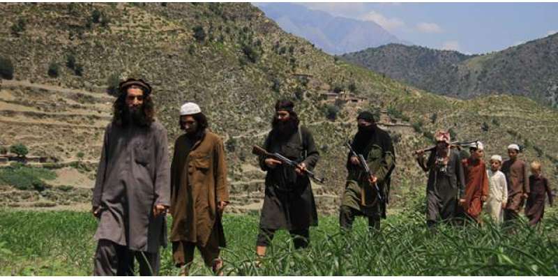 طالبان نے امریکی اور آسٹریلوی یرغمالی پروفیسروں کی ویڈیو جاری کر ..