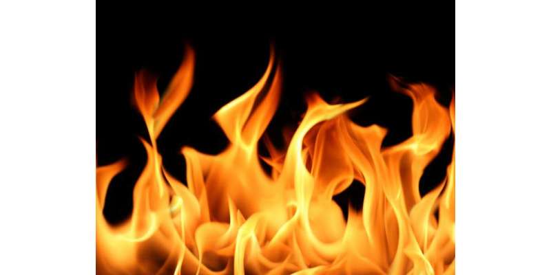 بھارتی ریاست بہار میں بس میں آتشزدگی کے باعث ایک بچے سمیت آٹھ افراد ..