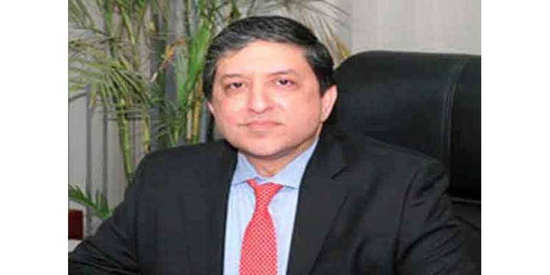 پاکستان مالی بحران کے ریڈ زون میں داخل ہوچکا ہے، سلیم مانڈوی والا