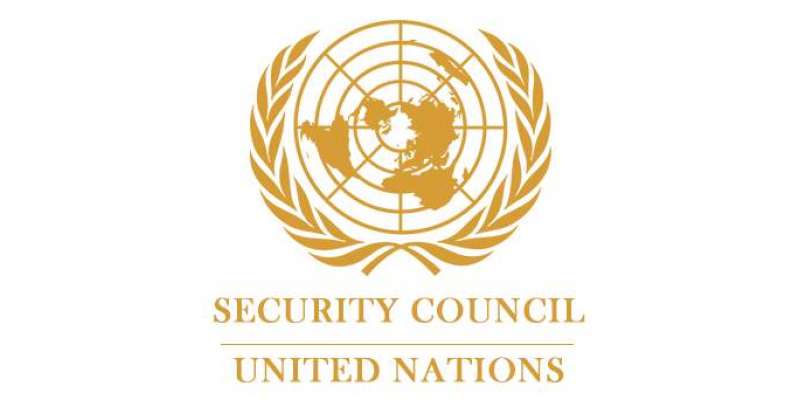 اقوام متحدہ کی سلامتی کونسل کے اجلاس میں پاکستان اور امریکا کے مندوبین ..