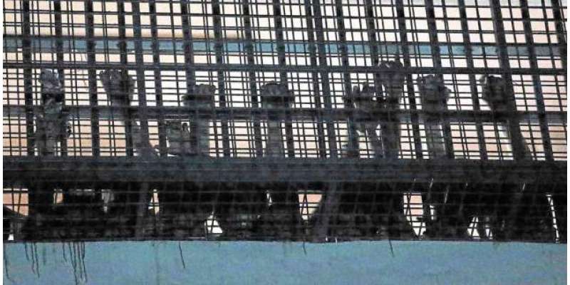 برازیل، جیل میں تازہ ہنگامہ آرائی، 4 قیدی ہلاک،ایک کا سر قلم کردیا گیا
