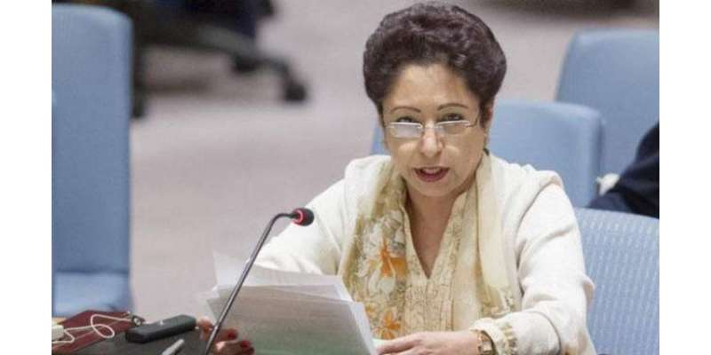 پاکستان نے اقوام متحدہ میں مذہبی منافرت بالخصوص اسلام فوبیا کے خاتمہ ..