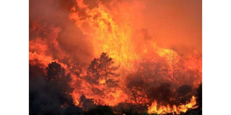 کیلیفورنیاکے جنگلات میں لگی آگ بے قابو،47افرادہلاک