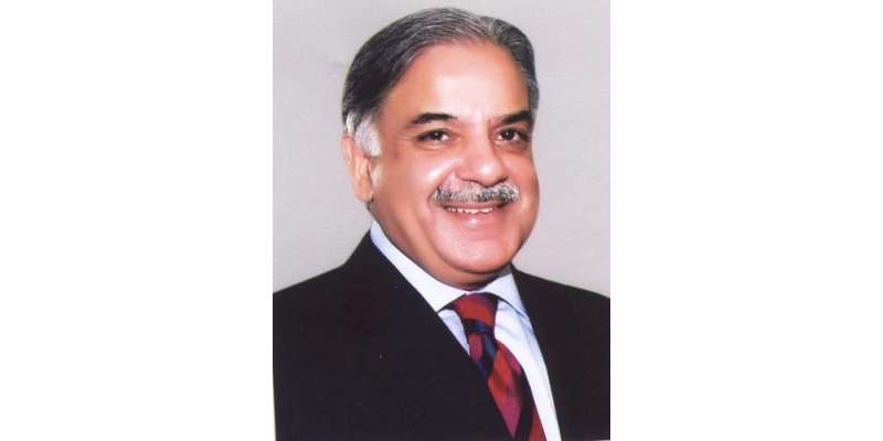 نیازی صاحب پاکستان میں انتشار ،جھوٹ اور منافقت کی سیاست کے بانی ہیں‘شہبازشریف