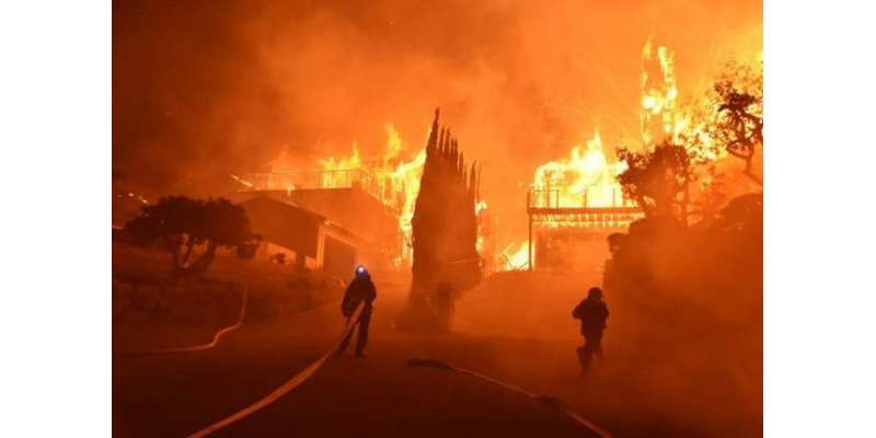 امریکہ : کیلی فورنیا جنگلات میں 8روز سے لگی آگ 2لاکھ 30ہزار ایکڑ رقبے ..