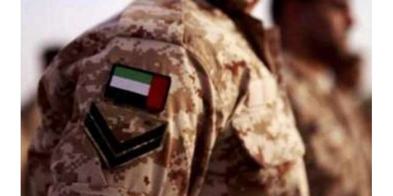 متحدہ عرب امارات کے دو پائلٹ یمن میں شہادت پا گئے