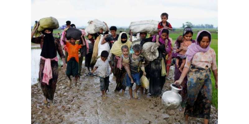 میانمار میں روہنگیا مسلمانوں کے خلاف مظالم کی تحقیقات شروع