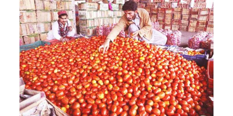 ٹماٹر کی بڑھتی ہوئی قیمت ، شہریوں نے ٹماٹر کی خریدوفروخت کا بائیکاٹ ..