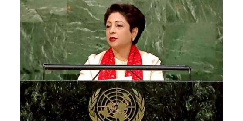 اقوام متحدہ میں پاک بھارت مندوب کے درمیان سخت جملوں کا تبادلہ،پاکستان ..