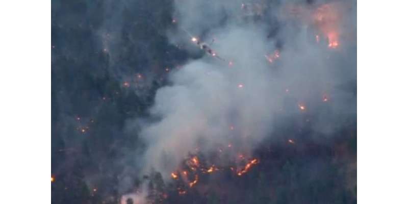 کینیڈا میں تیزی سے پھیلتی آگ سے وسیع رقبے پر جنگلات جل کر راکھ