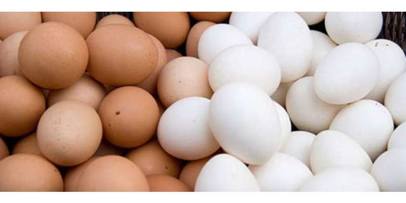 لاہور، ماڈل بازاروں میں زندہ برائلر، گوشت و انڈوں کی قیمتیں