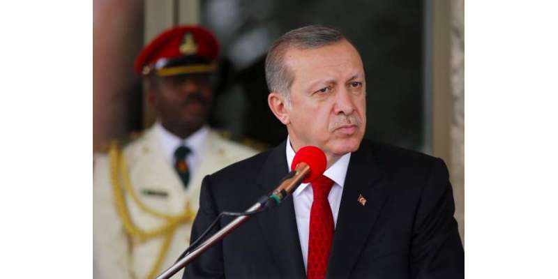 ترک صدر نے قطر بحران کے حل کیلئے اپنے خلیج کے دورے کو تعمیری اور کامیاب ..