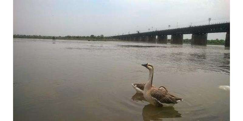 دریائے جہلم عبور کرنے کی شرط میں نوجوان جان کی بازی ہار گیا،پولیس نے ..
