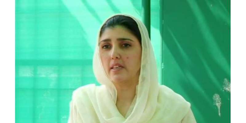 مسلم لیگ (ن)کے رہنما مشتاق ڈار نے عائشہ گلالئی کو الزامات لگانے کی وجہ ..
