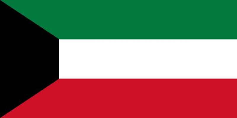 کویت، پیرو، آئیوری کوسٹ ،پولینڈ اور گینیا سلامتی کونسل کے غیر مستقل ..
