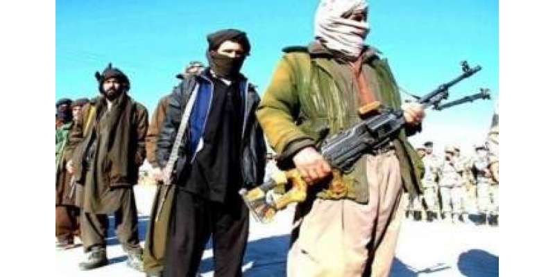 افغان طالبان نے امریکی اور آسٹریلوی یرغمالیوں کی نئی وڈیو جاری کر دی،