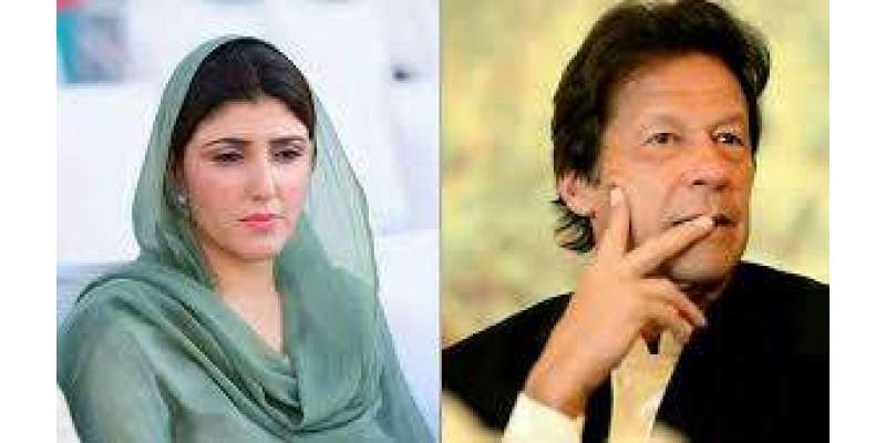 نیب نے عائشہ گلالئی کے خلاف دائر کرپشن کی درخواست خارج کر دی