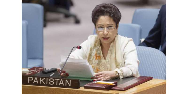پاکستان 6 دہائیوں سے امن دستے فراہم کرنیوالے بڑے ممالک میں شامل ہے، ..