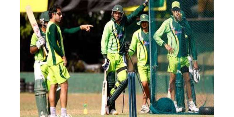 پاکستان کرکٹ ٹیم کے کھلاڑی بھی سبز ہلالی پرچم کے رنگوں میں رنگ گئے، ..