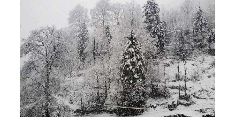 ایوبیہ میں موسم سرما کی پہلی برفباری شروع