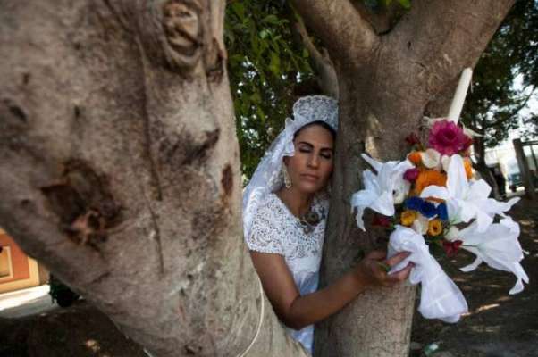 خواتین نے درختوں کو بچانے کے لیے اُن سے شادیاں کرنی شروع کر دیں