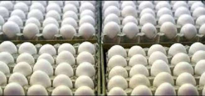 اراکین پارلیمنٹ کی گاڑیوں سے انڈے برآمد