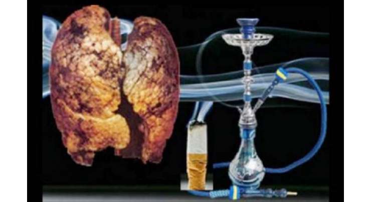 حقہ، شیشہ اور ڈبوں کے کھانوں نے کینسر اور دل کے امراض میں اضافہ کر دیا، سعودی ڈاکٹر