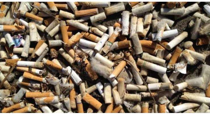 سمندر میں پھینکے جانے والے کچرے کا بڑا حصہ سگریٹ کے ٹوٹوں پر مشتمل ہوتا ہے