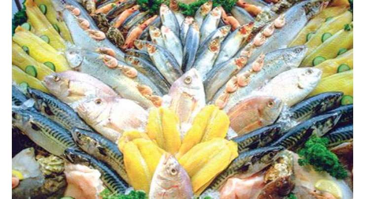 رواں مالی سال کے دوران سمندری خوراک کی ملکی برآمدات میں16.33فیصد کا اضافہ