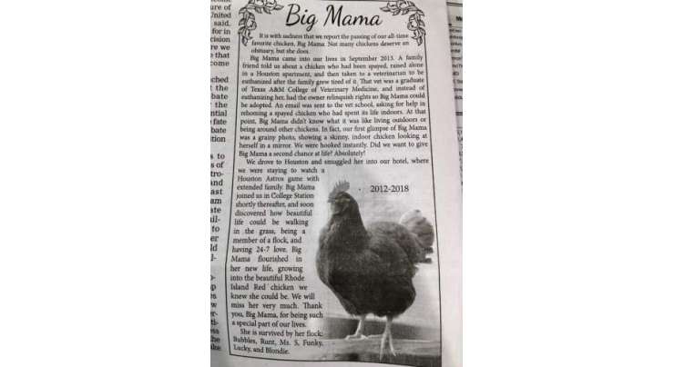 ایک غم سے نڈھال خاندان نے اپنی گھریلو مرغی کے انتقال پر ملال کا اشتہا ااخبار میں شائع کر دیا