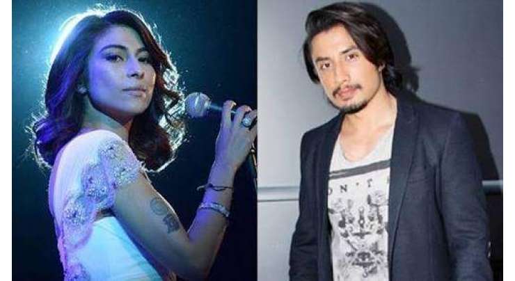 پاکستانی گلوکار علی ظفر نے ایک مرتبہ پھر میشا شفیع پر ہرجانے کا دعویٰ دائر کر دیا 4