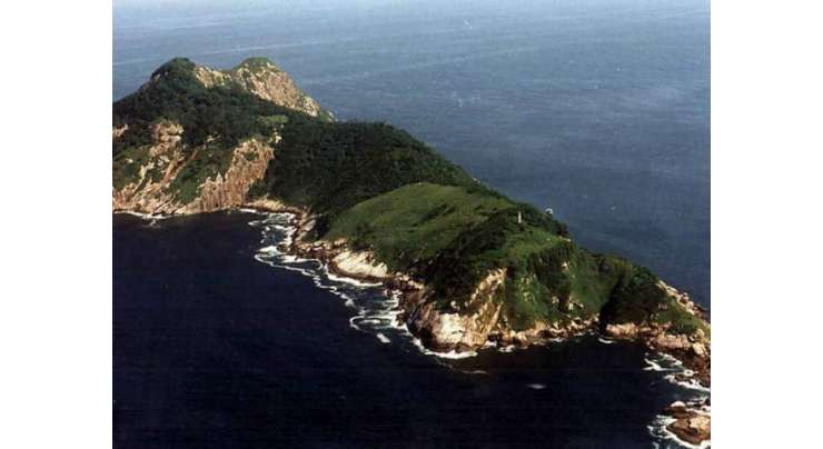 برازیل  میں کسی انسان کو  سانپوں کے اس جزیرے پر  جانے کی  اجازت نہیں