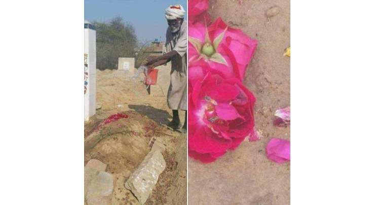''ننھی زینب اور گُلابی رنگ'' قبر کو پانی دینے والے بابا شریف کے ایک جُملے سے سوشل میڈیا صارفین آبدیدہ