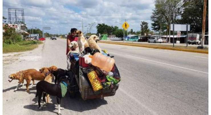 میکسیکو کے ”ڈاگ مین“ پانچ سالوں سے آوارہ کتوں کے بچانے کےلیے سفر کر رہے ہیں