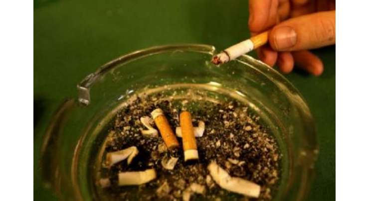 ملک میں تمباکو کے بڑھتے استعمال کو روکنے کے لیے خاطر خواہ اقدامات کیے گئے ہیں ،پارلیمانی سیکرٹری ہیلتھ