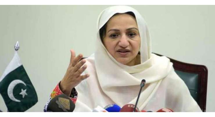 13دسمبر کو مینار پاکستان پر تحریک انصاف کی30 اکتوبر 2011 کے جلسے سے بڑا جلسہ کرینگے ‘ مسلم لیگ (ن) کا دعویٰ