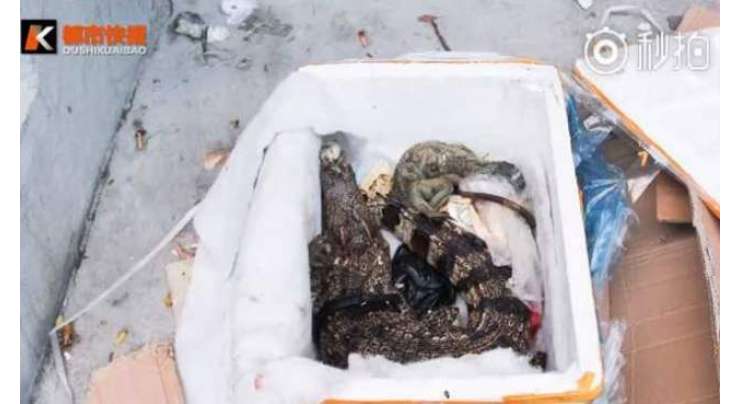 ہیلتھ کیئر پراڈکٹس کا آرڈر کرنے والی خاتون کے   پیکٹ سے نکلا ”  مردہ مگرمچھ اور چھپکلی“