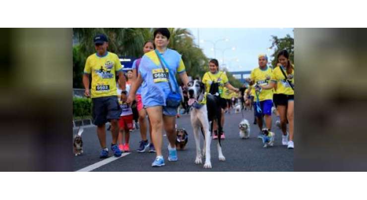 فلپائن میں کتوں کی بامقصد دوڑ