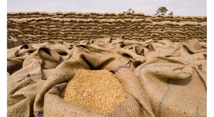 گندم کی زیادہ سے زیادہ پیداوار حاصل کرنے کیلئے تصدیق شدہ تخم استعمال کریں،مراد علی خان