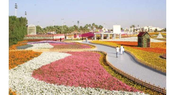 سعودی عرب ینبع تہوار میں دنیا کا سب سے بڑا پھولوں کا قالین بچھ گیا