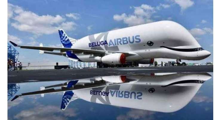 یہ خوبصورت   وہیل نما ائیر بس بیلوگا ایکس ایل ہوائی جہاز اگلے سال سے   تجارتی پروازیں شروع کر دے گا