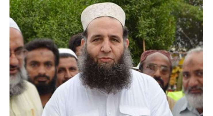 پاکستان میں تمام مذاہب کے ماننے والوں کے ساتھ یکساں سلوک اور ان کے حقوق کا احترام کیا جاتا ہے، پیر نور الحق قادری