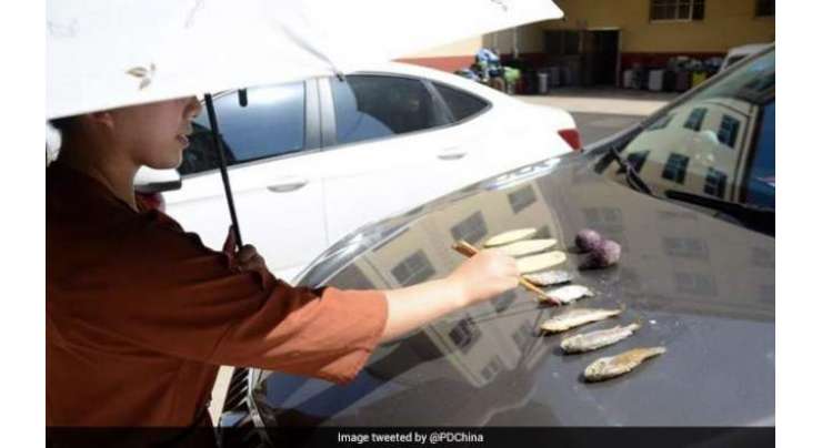 40 ڈگری سینٹی گریڈ کی گرمی میں خاتون نے  کار کے بونٹ پر مچھلی فرائی کر لی