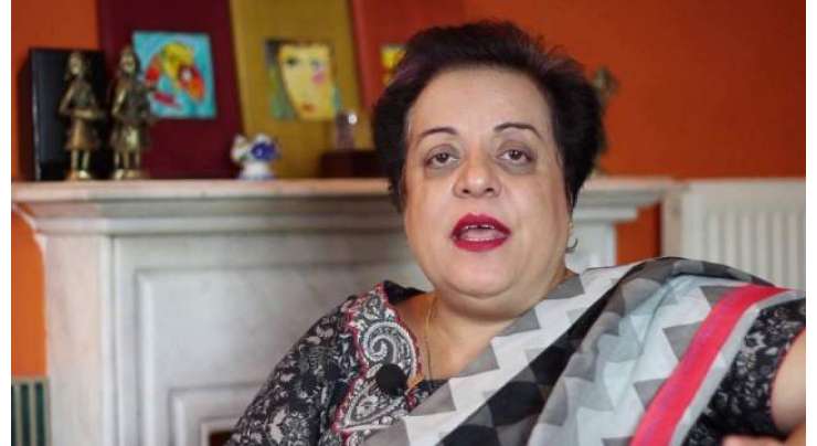 ڈاکٹر شیریں مزاری نے راولپنڈی میں کم سن گھریلو ملازمہ پر تشدد کا نوٹس لے لیا