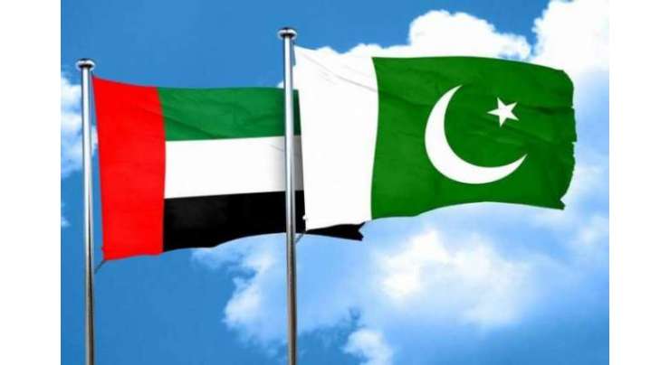 رواں مالی سال کے دوران متحدہ عرب امارات کی جانب سے پاکستان میں براہ راست غیرملکی سرمایہ کاری کے حجم میں نمایاں اضافہ
