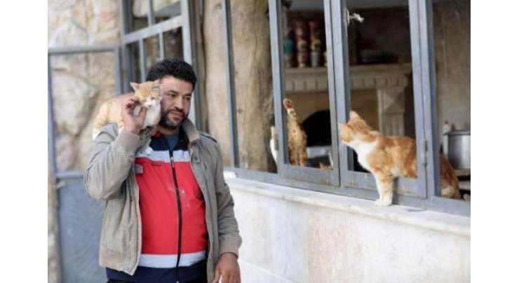 جنگ سے متاثرہ شام میں "کیٹ مین" نے جانوروں کا کلینک کھول لیا