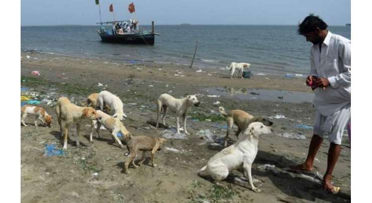 پاکستان کے قابل فخر اور نیک دل ماہی گیر ”کتوں کے جزیرے “ میں کھانا اور پانی پہنچاتے  ہیں