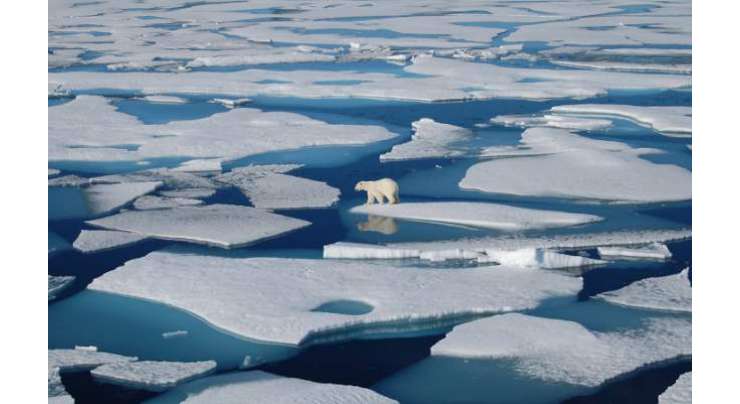 قطب شمالی کی مستقل برف کا آدھا حصہ ختم ہوچکا ہے، ناسا